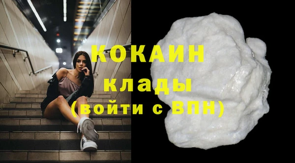 эйфоретик Аркадак