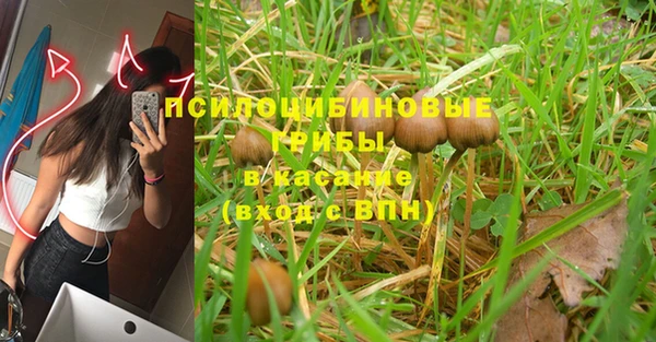 каннабис Арсеньев