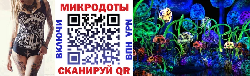Псилоцибиновые грибы Psilocybe  Бабаево 